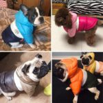 Autumn-Winter-Pet-Clothes-For-Dogs-Waterproof-Hooded-Dog-Coat-Jacket-Warm-Puppy-Pet-Clothing-Chihuahua-8.jpg