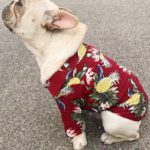 Hawaiian-Style-Dog-Clothes-French-Bulldog-Pet-Clothes-Summer-Pet-Clothing-for-Small-Medium-Dogs-Puppy-9.jpg