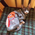 Warm-Dog-Clothes-for-Small-Dog-Coats-Jacket-Winter-Clothes-for-Dogs-Cats-Clothing-Chihuahua-Cartoon-9.jpg