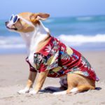 Dog-Shirts-Clothes-Summer-Beach-Clothes-Vest-Pet-Clothing-Floral-T-Shirt-Hawaiian-For-Small-Large-7.jpg
